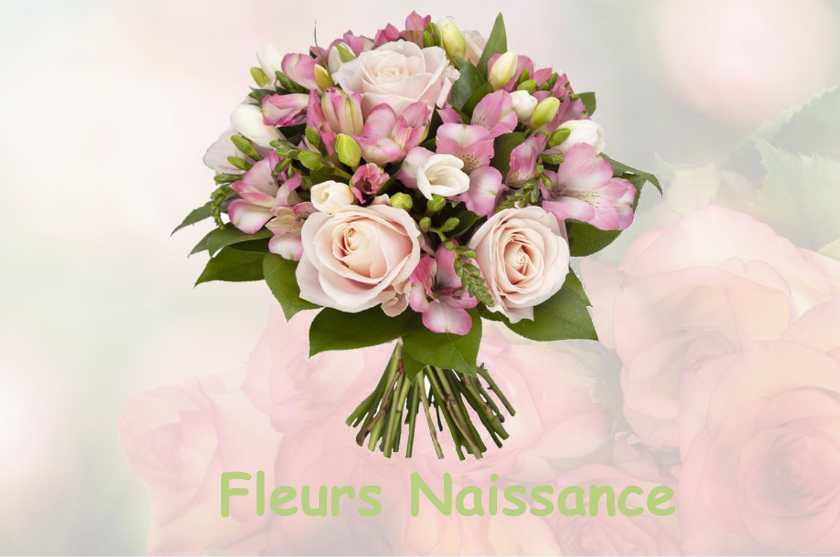 fleurs naissance AUVARE