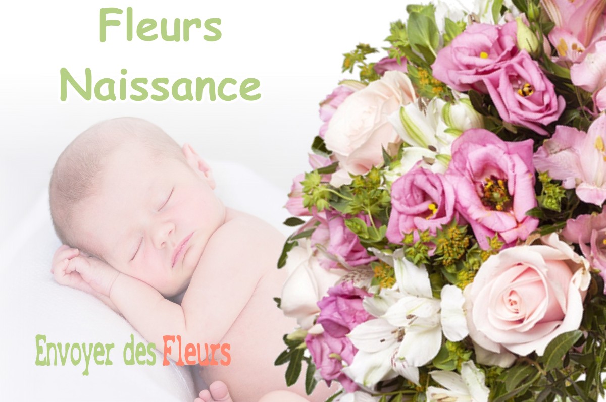 lIVRAISON FLEURS NAISSANCE à AUVARE